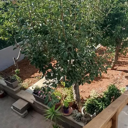 Regina Di Puglia Bed & Breakfast